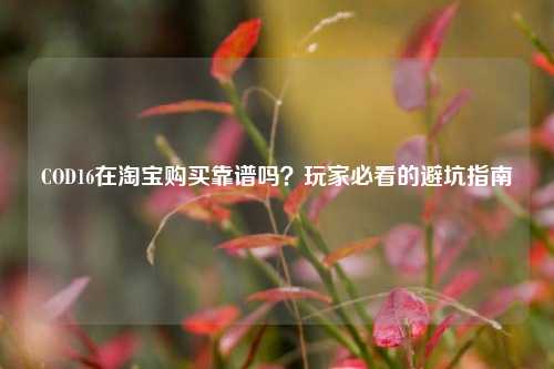 COD16在 *** 购买靠谱吗？玩家必看的避坑指南