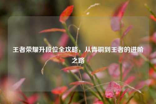 王者荣耀升段位全攻略，从青铜到王者的进阶之路