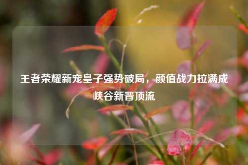 王者荣耀新宠皇子强势破局，颜值战力拉满成峡谷新晋顶流