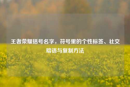 王者荣耀括号名字，符号里的个性标签、社交暗语与复制 *** 