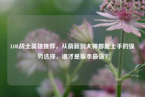 LOL战士英雄推荐，从萌新到大神都能上手的强势选择，谁才是版本最强？