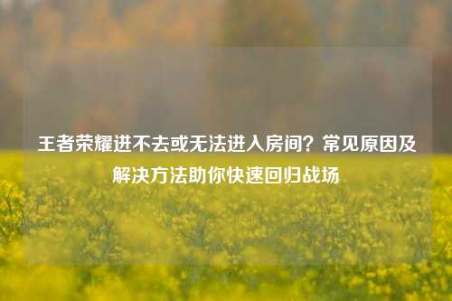 王者荣耀进不去或无法进入房间？常见原因及解决 *** 助你快速回归战场