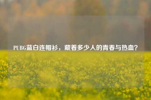 PUBG蓝白连帽衫，藏着多少人的青春与热血？