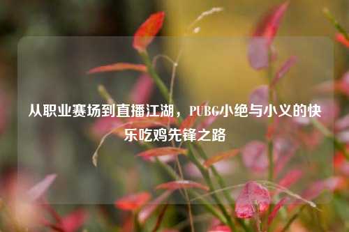 从职业赛场到直播江湖，PUBG小绝与小义的快乐吃鸡先锋之路