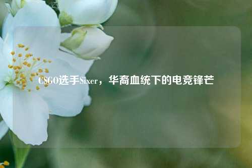 CSGO选手Sixer，华裔血统下的电竞锋芒