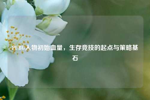 PUBG人物初始血量，生存竞技的起点与策略基石