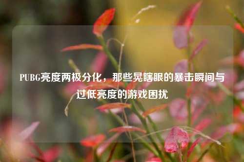 PUBG亮度两极分化，那些晃瞎眼的暴击瞬间与过低亮度的游戏困扰