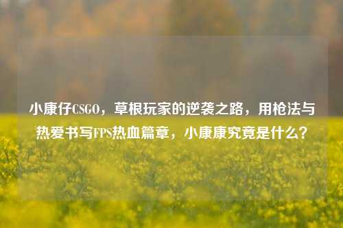 小康仔CSGO，草根玩家的逆袭之路，用枪法与热爱书写FPS热血篇章，小康康究竟是什么？