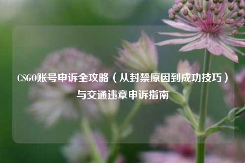 CSGO账号申诉全攻略（从封禁原因到成功技巧）与交通违章申诉指南