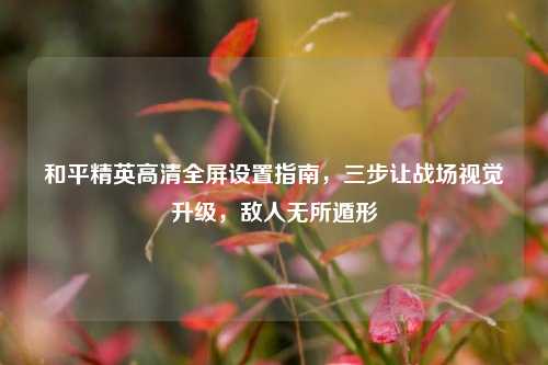 和平精英高清全屏设置指南，三步让战场视觉升级，敌人无所遁形
