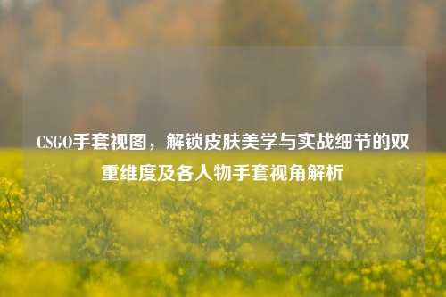 CSGO手套视图，解锁皮肤美学与实战细节的双重维度及各人物手套视角解析