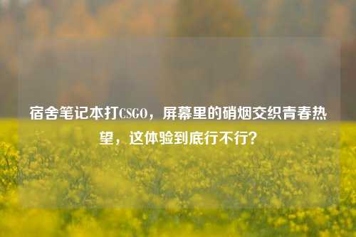 宿舍笔记本打CSGO，屏幕里的硝烟交织青春热望，这体验到底行不行？