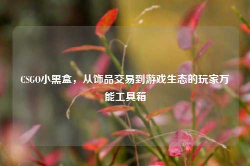 CSGO小黑盒，从饰品交易到游戏生态的玩家万能工具箱