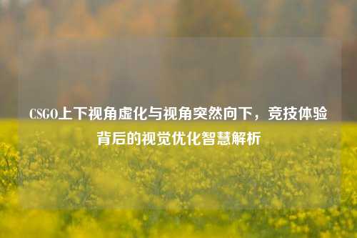 CSGO上下视角虚化与视角突然向下，竞技体验背后的视觉优化智慧解析