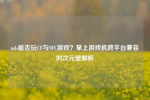 nds能否玩CF与SFC游戏？掌上游戏机跨平台兼容的次元壁解析