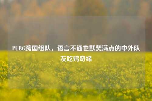 PUBG跨国组队，语言不通也默契满点的中外队友吃鸡奇缘