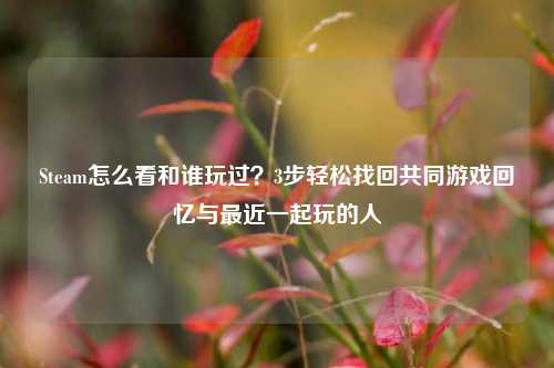 Steam怎么看和谁玩过？3步轻松找回共同游戏回忆与最近一起玩的人