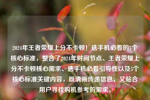 2024年王者荣耀上分不卡顿！选手机必看的5个核心标准，整合了2024年时间节点、王者荣耀上分不卡顿核心需求、选手机必看引导性以及5个核心标准关键内容，既清晰传递信息，又贴合用户寻找购机参考的需求。