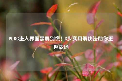 PUBG进入界面黑屏别慌！5步实用解决法助你重返战场