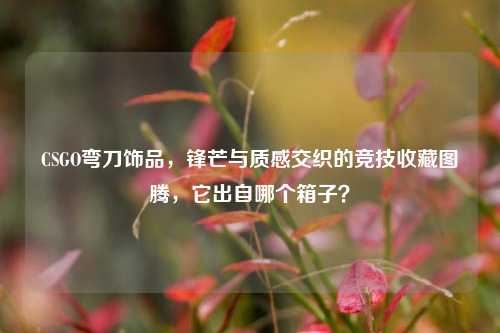 CSGO弯刀饰品，锋芒与质感交织的竞技收藏图腾，它出自哪个箱子？