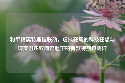 和平精英特斯拉联动，虚拟赛场的科技狂想与现实游戏双向奔赴下的新款特斯拉测评