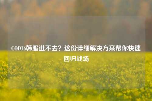 COD16韩服进不去？这份详细解决方案帮你快速回归战场