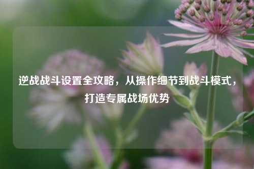 逆战战斗设置全攻略，从操作细节到战斗模式，打造专属战场优势