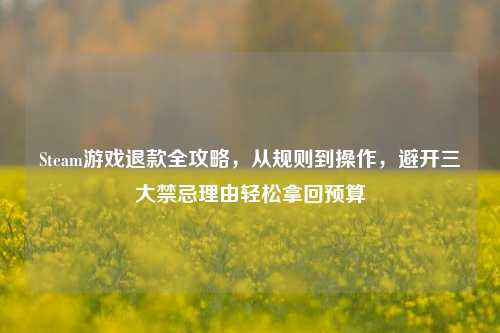Steam游戏退款全攻略，从规则到操作，避开三大禁忌理由轻松拿回预算