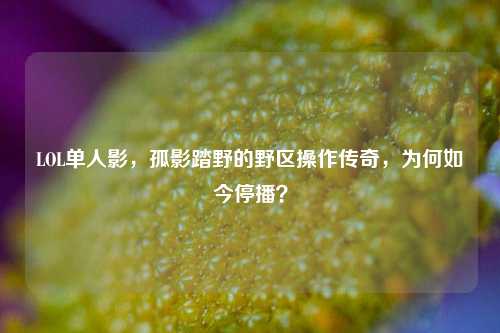 LOL单人影，孤影踏野的野区操作传奇，为何如今停播？