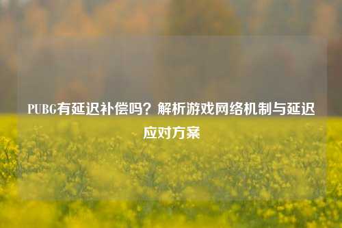 PUBG有延迟补偿吗？解析游戏 *** 机制与延迟应对方案