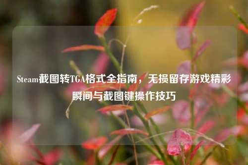 Steam截图转TGA格式全指南，无损留存游戏精彩瞬间与截图键操作技巧