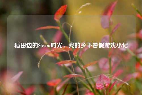 稻田边的Steam时光，我的乡下暑假游戏小记