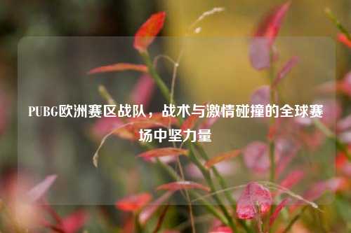 PUBG欧洲赛区战队，战术与 *** 碰撞的全球赛场中坚力量