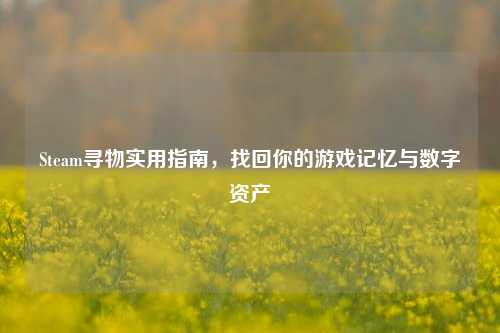 Steam寻物实用指南，找回你的游戏记忆与数字资产