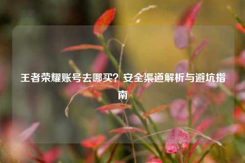 王者荣耀账号去哪买？安全渠道解析与避坑指南