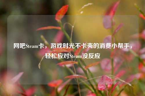 网吧Steam卡，游戏时光不卡壳的消费小帮手，轻松应对Steam没反应
