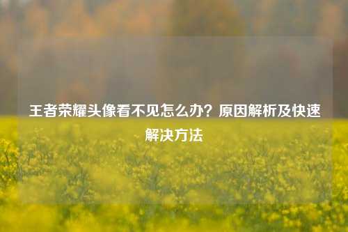 王者荣耀头像看不见怎么办？原因解析及快速解决 *** 