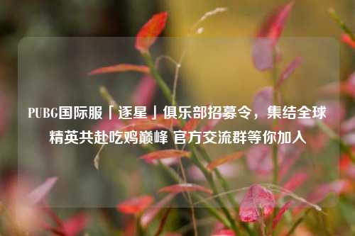 PUBG国际服「逐星」俱乐部招募令，集结全球精英共赴吃鸡巅峰 官方交流群等你加入