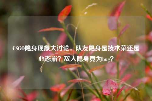 CSGO隐身现象大讨论，队友隐身是技术菜还是心态崩？敌人隐身竟为bug？