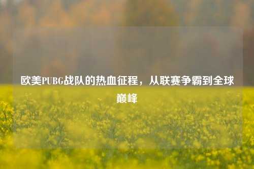 欧美PUBG战队的热血征程，从联赛争霸到全球巅峰