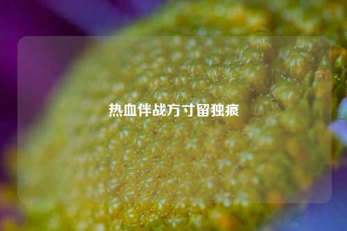热血伴战方寸留独痕