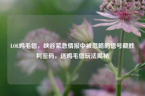 LOL鸡毛信，峡谷紧急情报中被忽略的信号藏胜利密码，送鸡毛信玩法揭秘