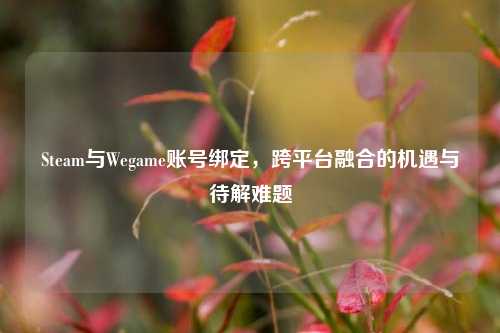 Steam与Wegame账号绑定，跨平台融合的机遇与待解难题