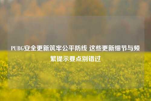 PUBG安全更新筑牢公平防线 这些更新细节与频繁提示要点别错过