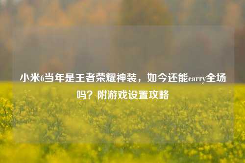 小米6当年是王者荣耀神装，如今还能carry全场吗？附游戏设置攻略
