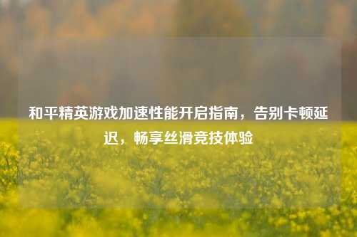 和平精英游戏加速性能开启指南，告别卡顿延迟，畅享丝滑竞技体验