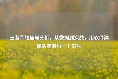 王者荣耀信号分析，从数据到实战，用软件读懂队友的每一个信号