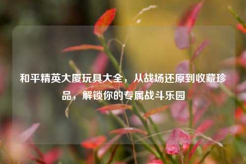 和平精英大厦玩具大全，从战场还原到收藏珍品，解锁你的专属战斗乐园