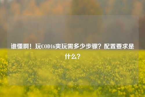 谁懂啊！玩COD16爽玩需多少步骤？配置要求是什么？