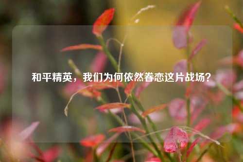 和平精英，我们为何依然眷恋这片战场？